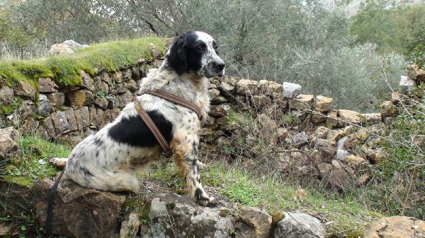 Jack Foto 6